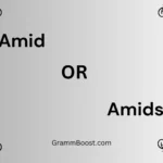 Amid or Amidst