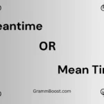 Meantime or Mean Time