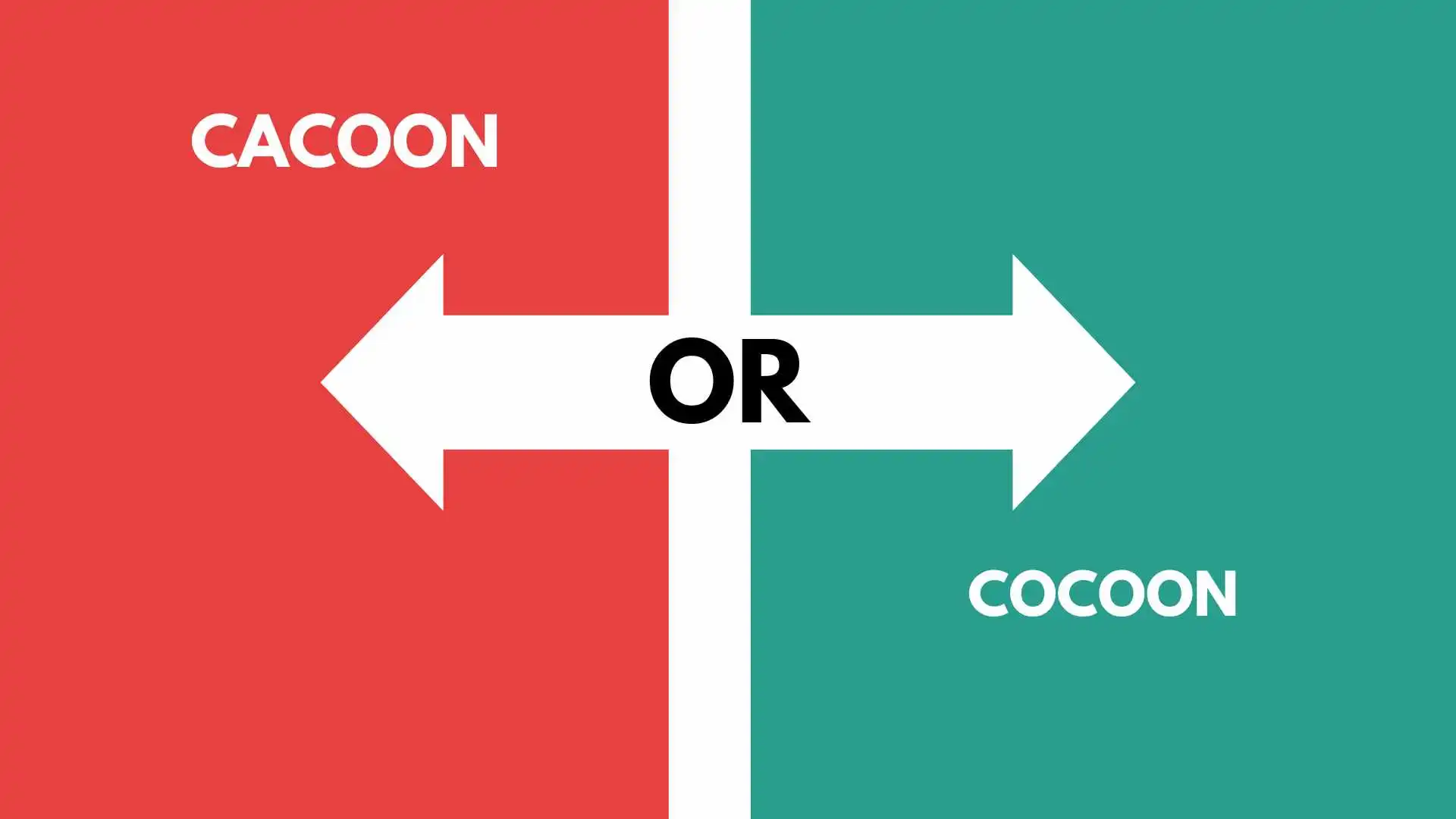 Cacoon or Cocoon