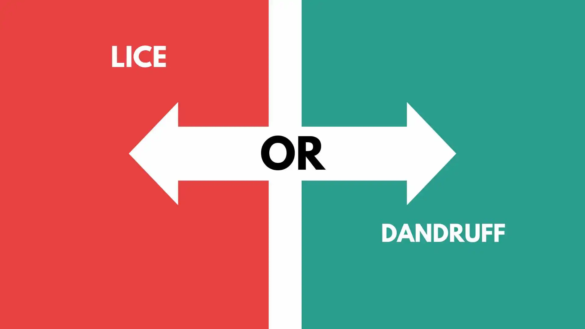 How to Know If You Have Lice or Dandruff