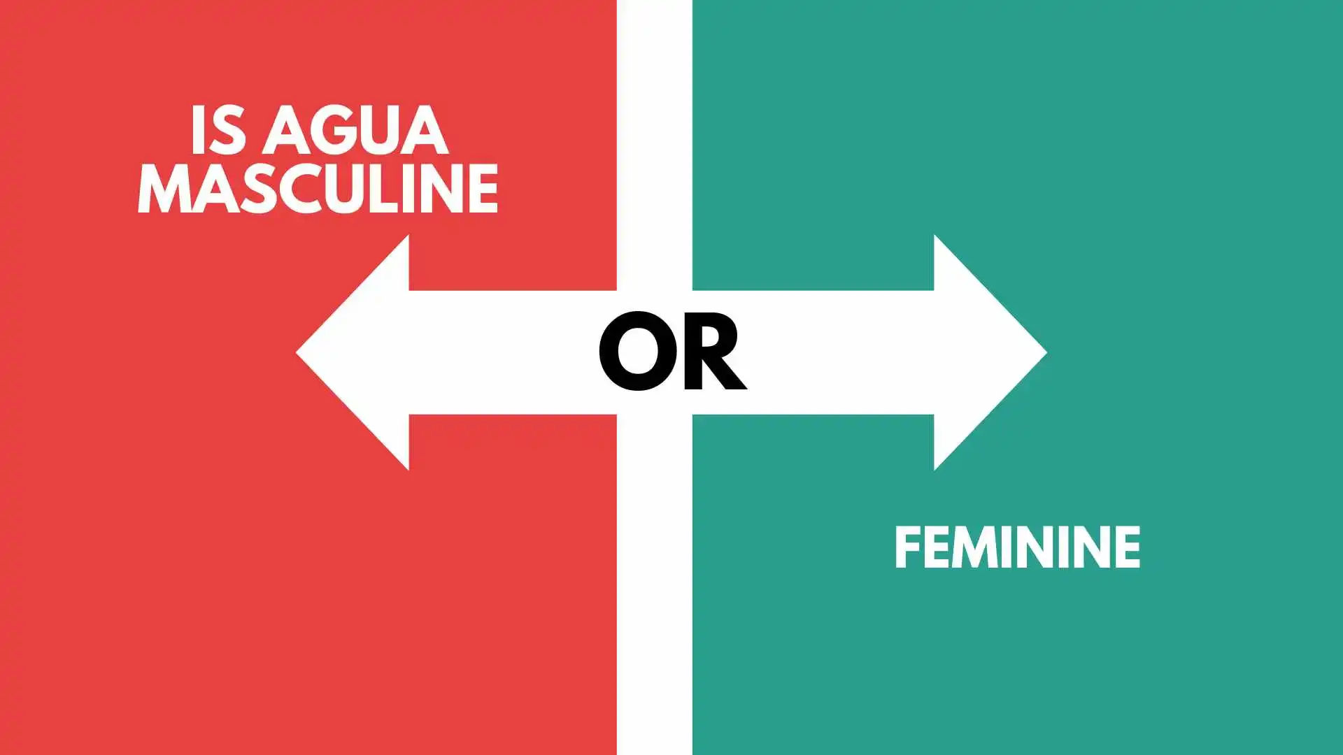 Is Agua Masculine or Feminine