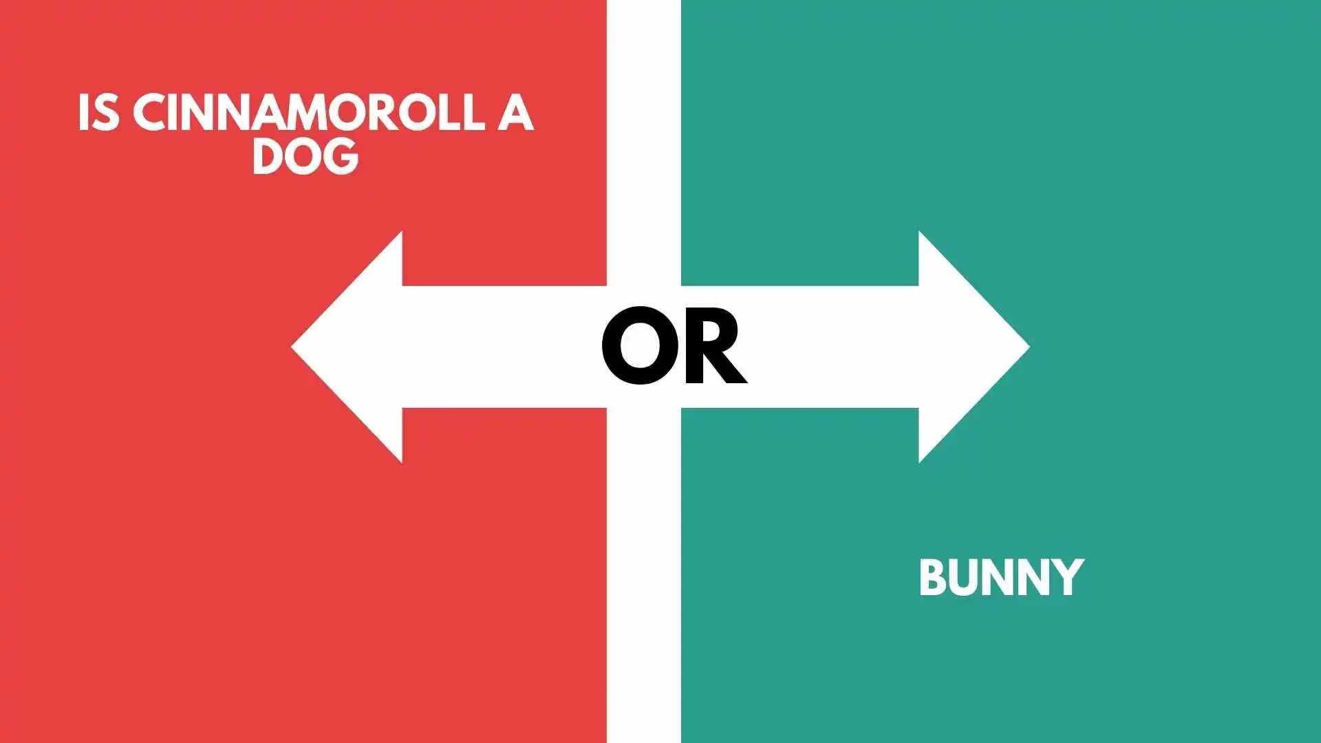 Is Cinnamoroll a Dog or a Bunny